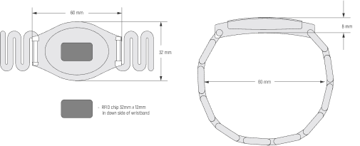 Scheme Plastic RFID wristband